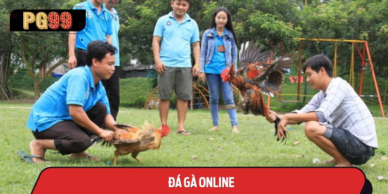 Chiến Thuật và Phân Tích Trong Đá Gà Online