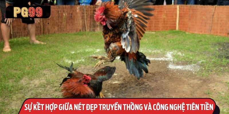 Đá Gà Online: Sự Kết Hợp Giữa Nét Đẹp Truyền Thống và Công Nghệ Tiên Tiến