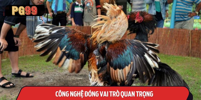 Công Nghệ Đóng Vai Trò Quan Trọng Trong Sự Phát Triển Của Đá Gà Online