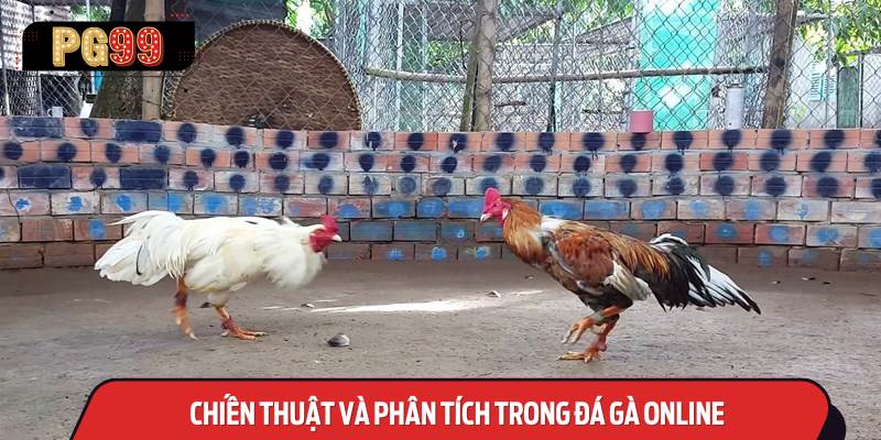 Chiến Thuật và Phân Tích Trong Đá Gà Online