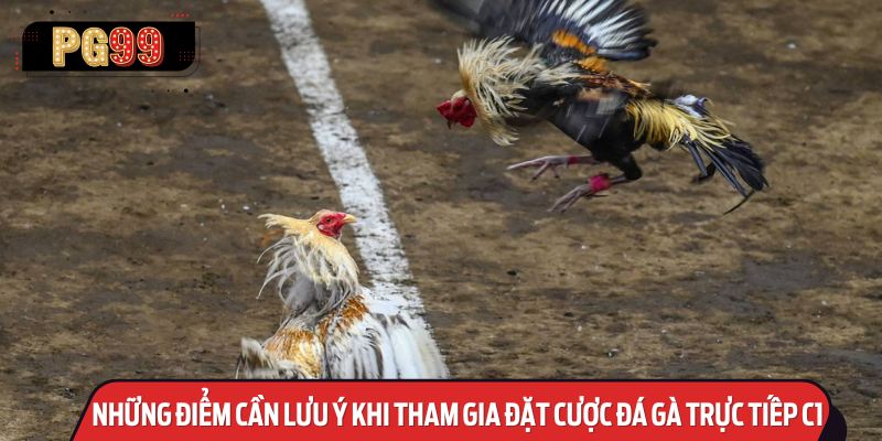 Những Điểm Cần Lưu Ý Khi Tham Gia Đặt Cược Đá Gà Trực Tiếp C1