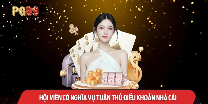 Hội viên có nghĩa vụ tuân thủ điều khoản nhà cái